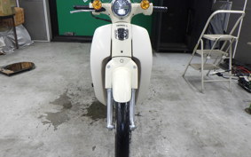 HONDA C110 SUPER CUB JA44
