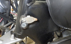 YAMAHA VIRAGO 250 3DM