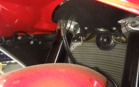 MV AGUSTA SUPER VELOCE 800 2021