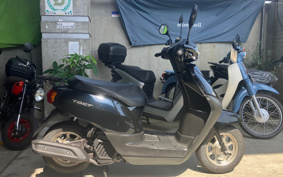 HONDA  TACT  BASIC  AF79