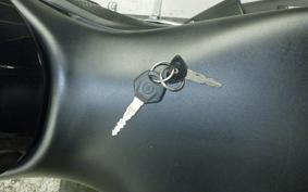 YAMAHA YZF-R25 A RG43J