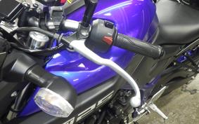YAMAHA MT-25 2024 RG43J