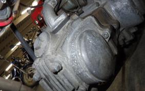 HONDA MONKEY 1995 Z50M