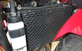 OTHER +メガリ250R