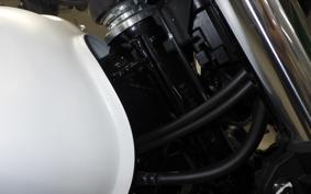 HONDA GB350 2024 NC59