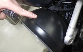 TRIUMPH SCRAMBLER 900 2023