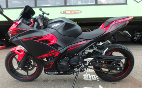 KAWASAKI Ninja 250 ABS EX250P