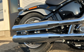 HARLEY HARLEY FXST1340-1450 2024 BVJ