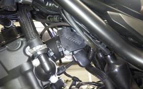 HONDA REBEL 250 S 2025 MC49