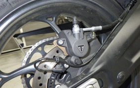 TRIUMPH DAYTONA660 2024