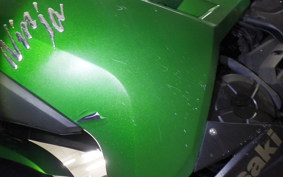 KAWASAKI NINJA 250 ABS EX250L