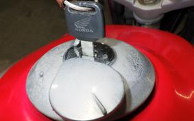 HONDA CBX250ﾂｲｽﾀｰ