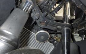 KAWASAKI NINJA 250 EX250L