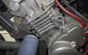 HONDA HORNET 250 MC31
