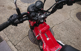 HONDA CT125 HUNTER CUB JA55