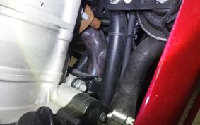 OTHER +FBﾓﾝﾃﾞｨｱﾙﾊﾟｶﾞｰﾆ300