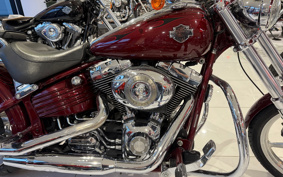HARLEY FXCWC 2009 JK5