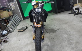 YAMAHA WR250X 2017 DG15J