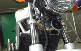 HONDA VTR 250 Gen. 2 2018 MC33