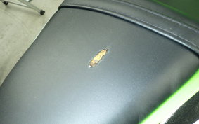 KAWASAKI NINJA 250 2015 EX250L