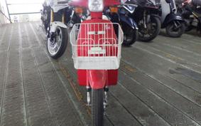 SUZUKI BARA 2018 CA13A