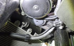 KAWASAKI ZX-4RR 2024 ZX400P