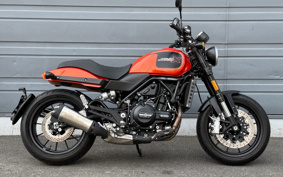 HARLEY  HARLEY X500 2024 W5B