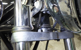 SUZUKI GOOSE 250 2020 NJ46A