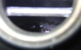 HONDA CRF250L 2019 MD47