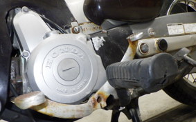 HONDA LITTLE CUB 2019 AA01