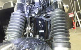 KAWASAKI W800 2020 EJ800B