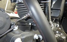 HARLEY FLTRXS1870 2019