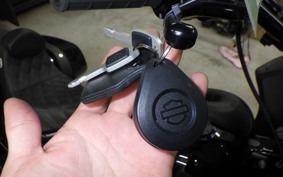 HARLEY FXLRST1920 2024