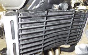 HONDA HORNET 250 MC31