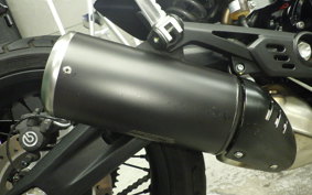 DUCATI SCRAMBLER 2024