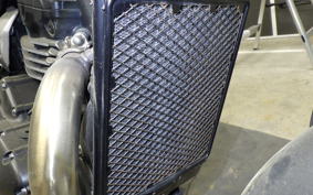 TRIUMPH SPEED 400 2024