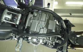 HONDA CRF250L 2007 MD47