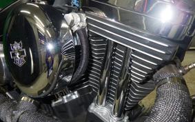 OTHER UNREGISTERED MODEL by BDS1200 2011
