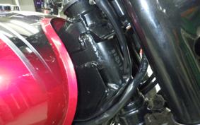 KAWASAKI W800 2013 EJ800A