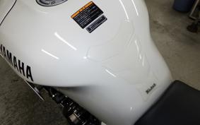 YAMAHA XSR900 GP 2024 RN96J
