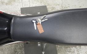 KAWASAKI SUPER SHERPA 2020 KL250G