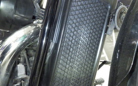 HONDA SHADOW 750 PHANTOM 2010 RC53