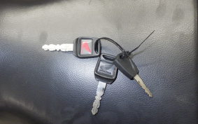 HONDA HORNET 2.0