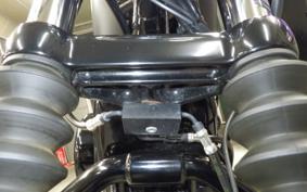 HARLEY XL883N 2021