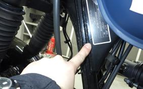 OTHER +ENFIELD HUNTER350 2023