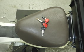 HONDA C110 SUPER CUB