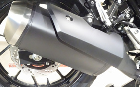 SUZUKI STROM 250 DS11A