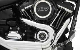HARLEY FLSB 2020 YMJ