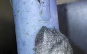 HONDA REBEL 250 2017 MC13