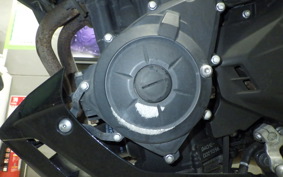 YAMAHA MT-25 2024 RG10J